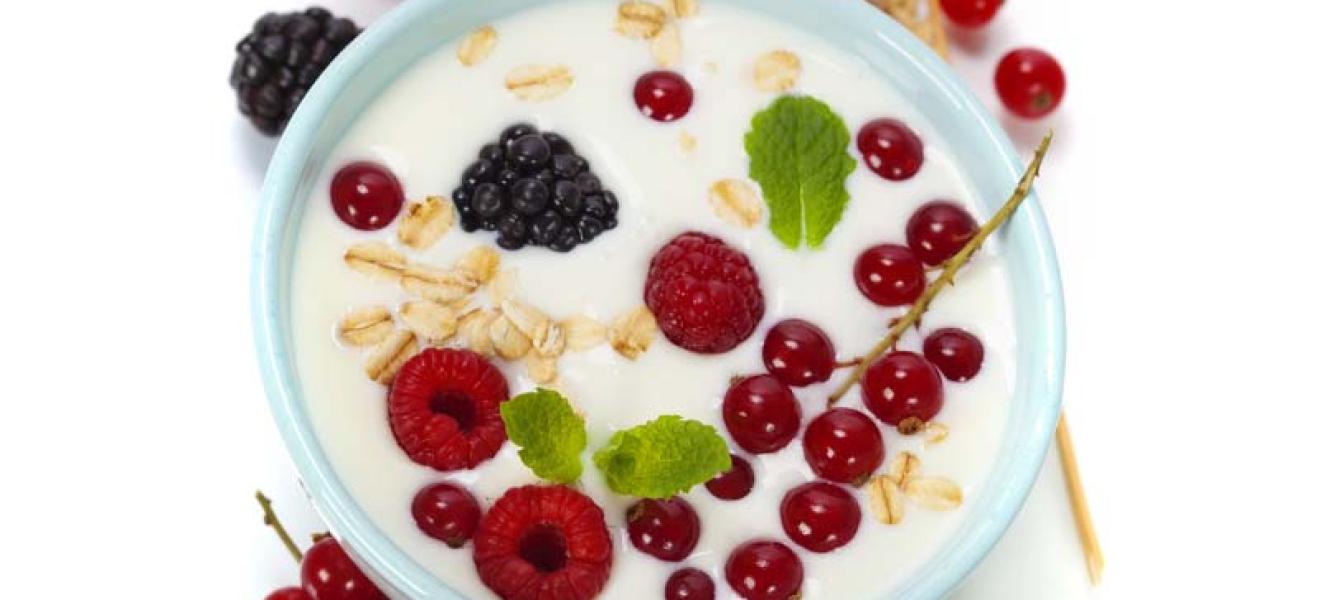 Yogurt Foster