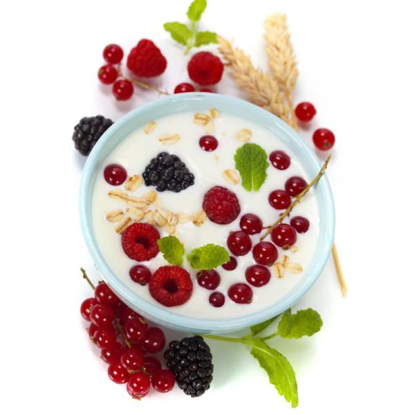 Yogurt Foster